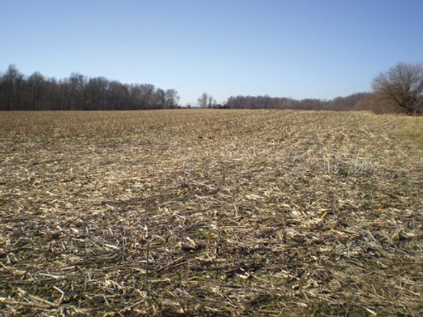 159 Acres Offered in 7 Tracts